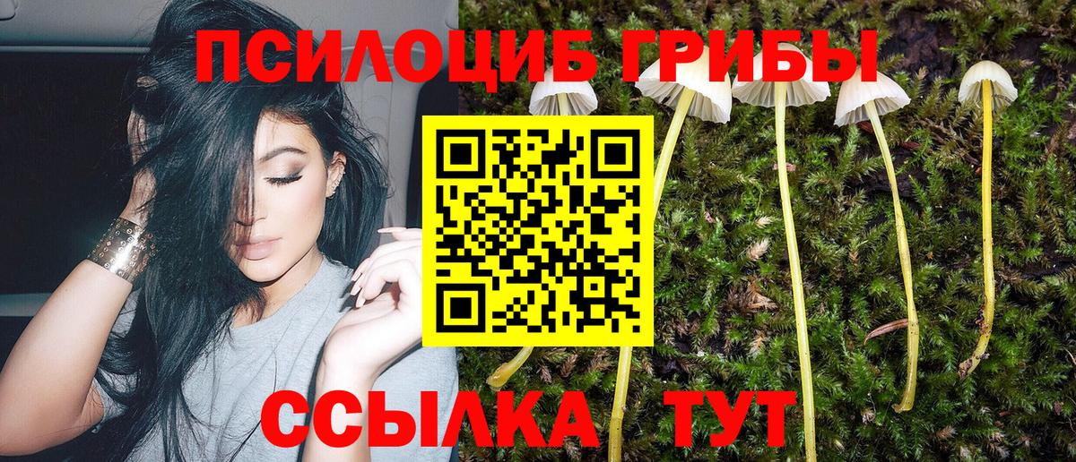 Псилоцибиновые грибы GOLDEN TEACHER  Вход с VPN  продажа наркотиков  Камень-на-Оби 