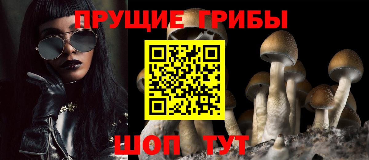 Галлюциногенные грибы ЛСД Камень-на-Оби